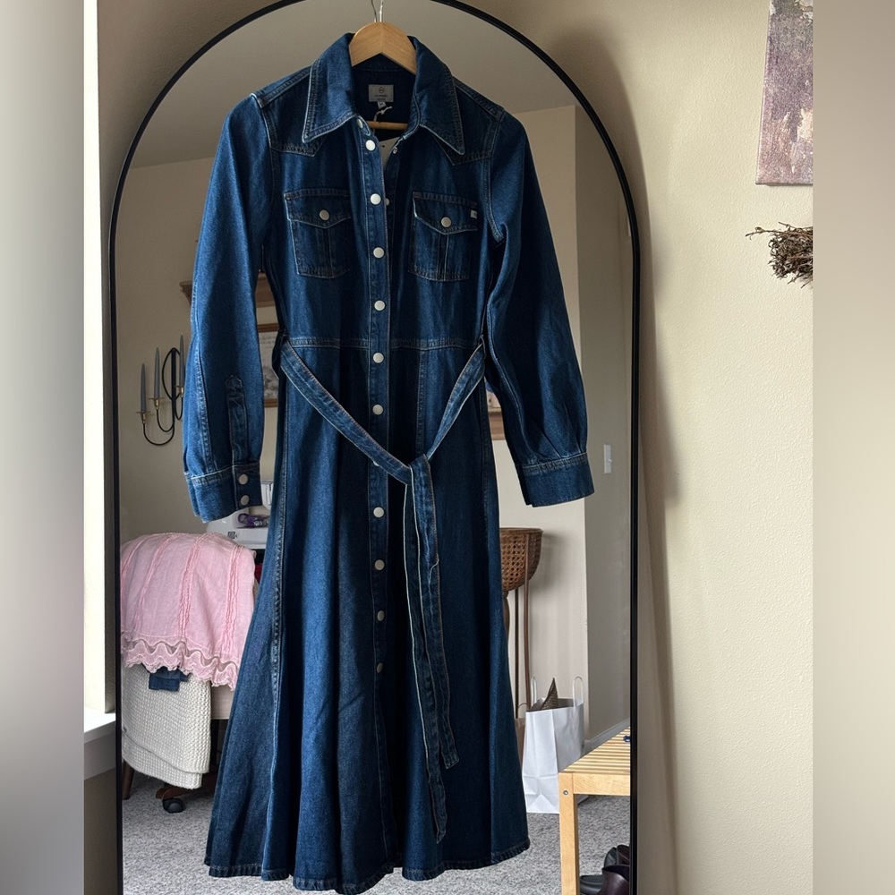 AG Blue Denim Shirt Dress